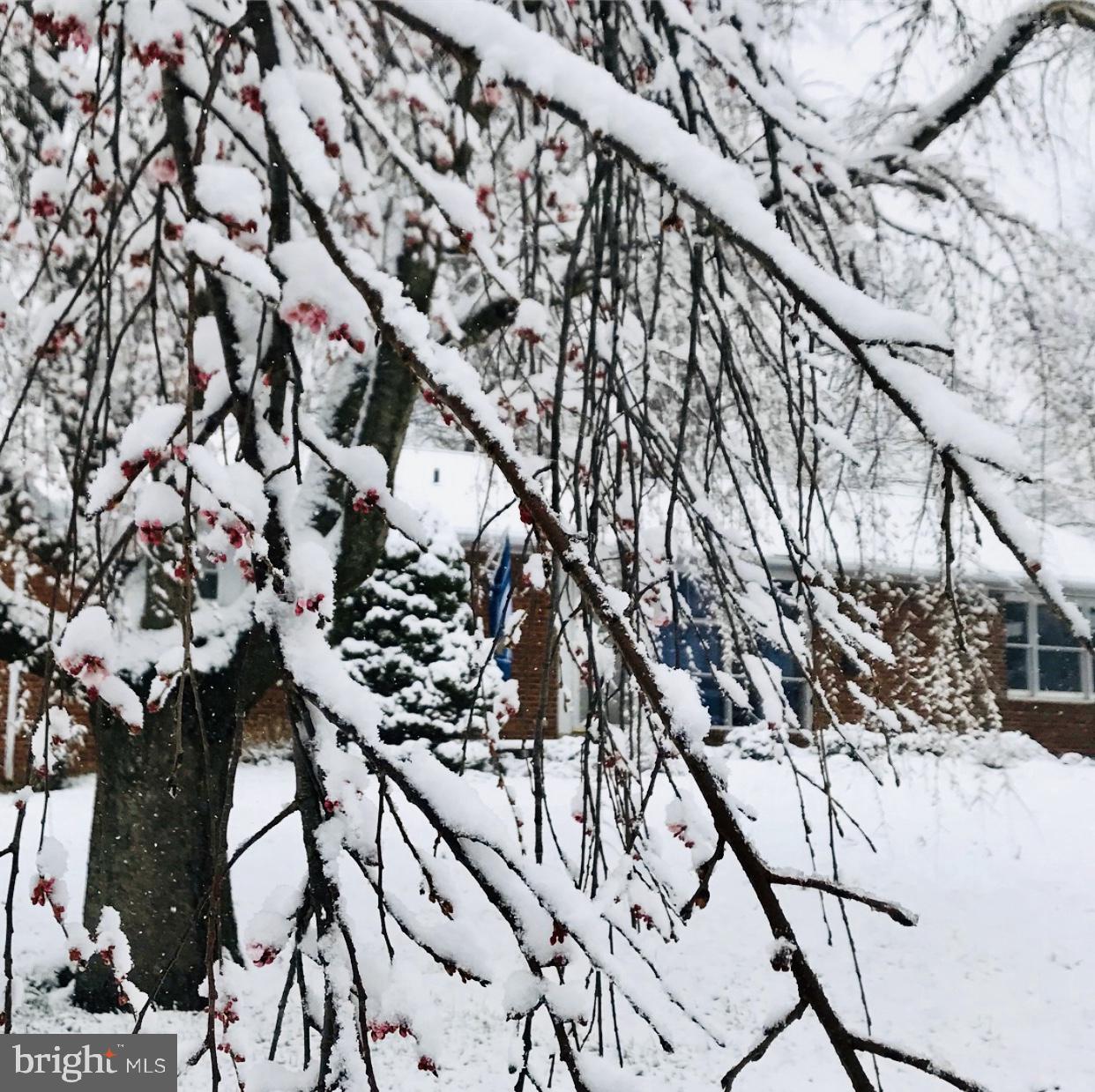 5946 Atteentee Road Springfield, VA 22150 - Photo 37 of 42 Beautiful when the snow falls