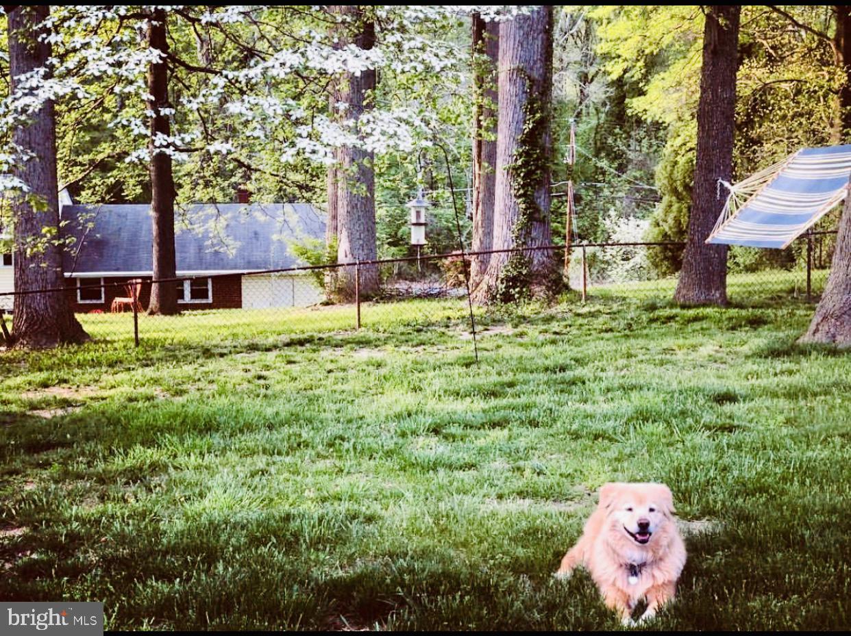 5946 Atteentee Road Springfield, VA 22150 - Photo 39 of 42 Springtime photo of the back yard !