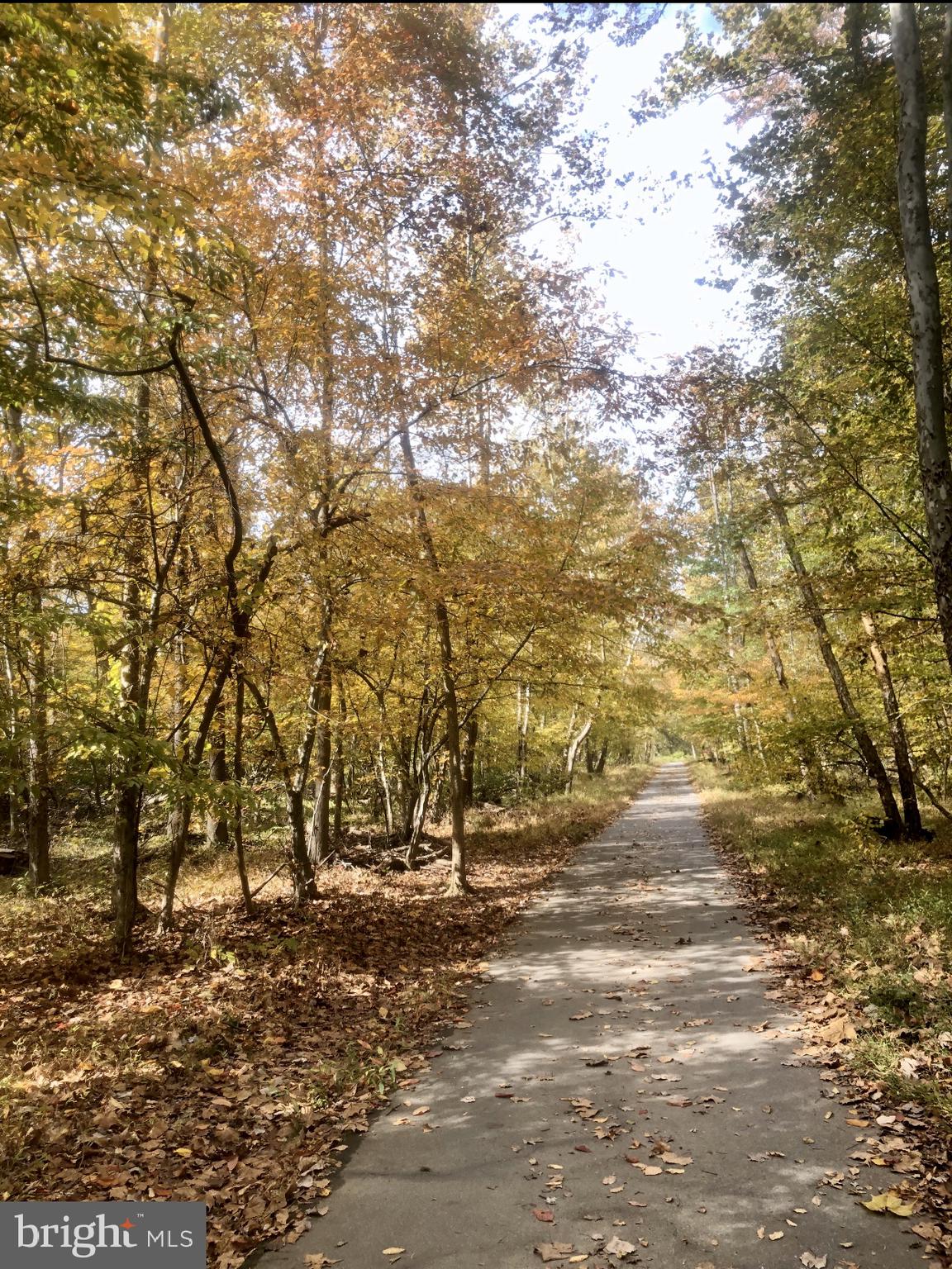 5946 Atteentee Road Springfield, VA 22150 - Photo 41 of 42 One of the nearby walking paths