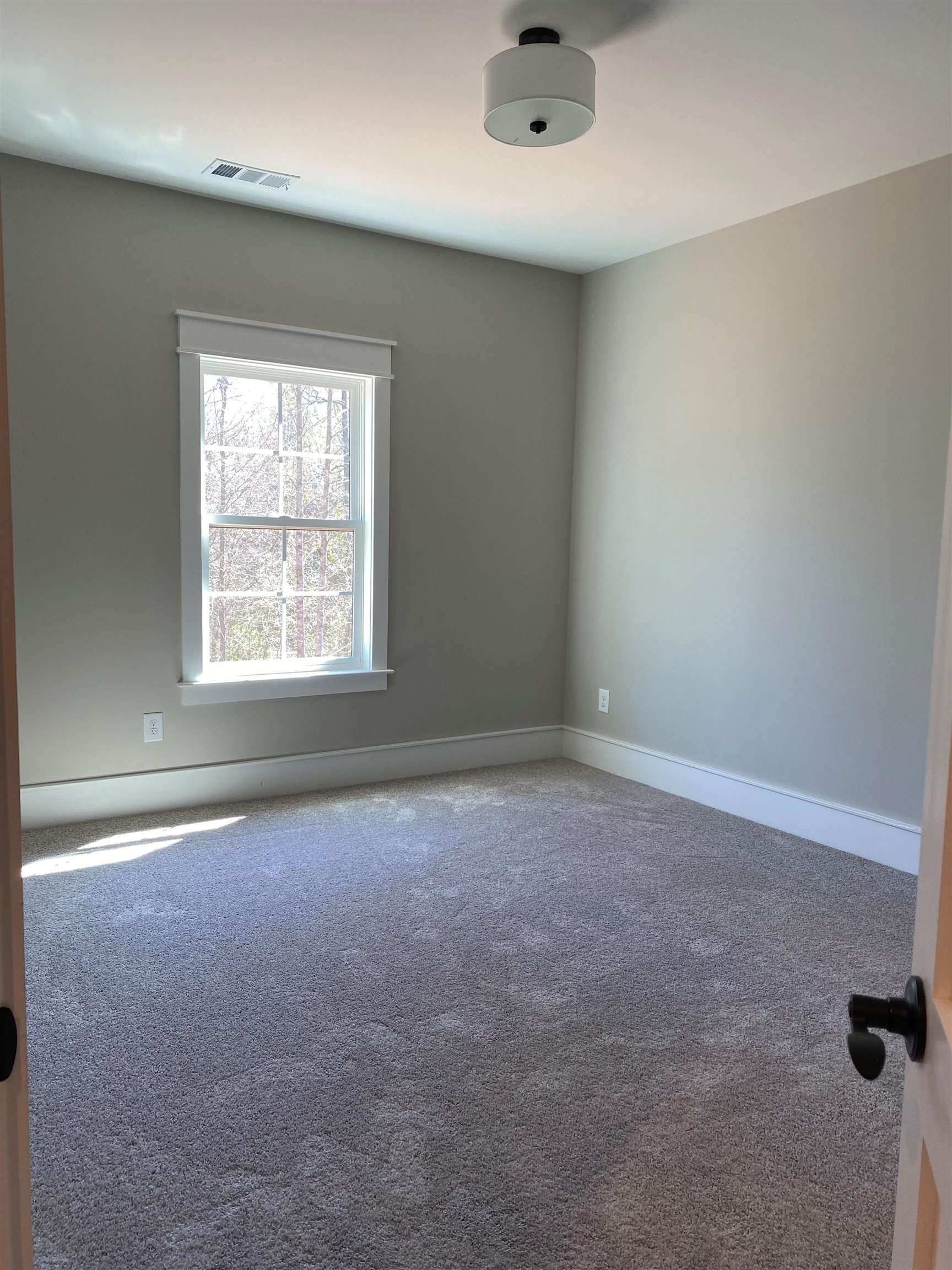 2036 Ivy Cottage Path Boiling Springs, SC 29316 - Photo 27 of 33