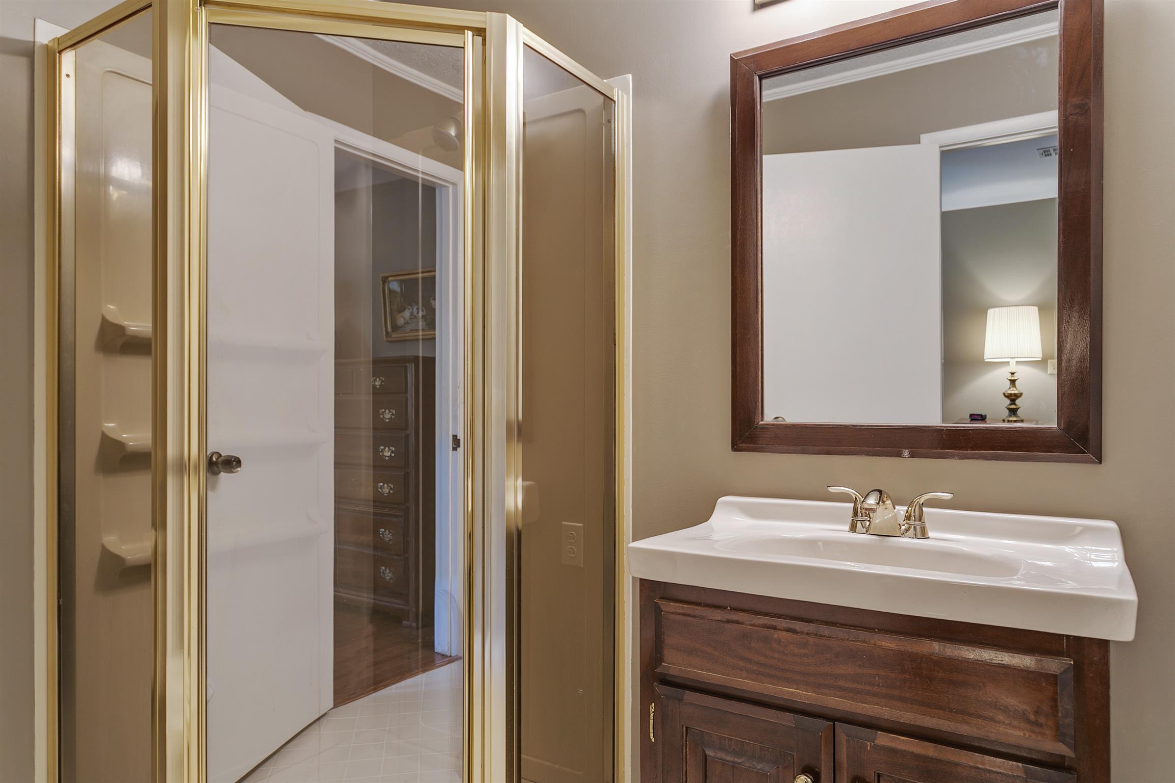 7315 Chester Road Fairview, TN 37062 - Photo 22 of 30 Master bath with shower