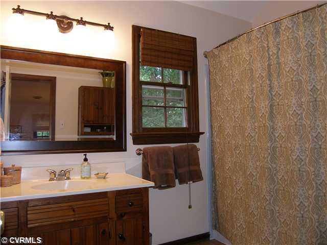 814 Watch Hill Road Midlothian, VA 23114 - Photo 10 of 12 Master Bath - Master Bath/New Floor/Mirror/Light Fixture/Hardware/Shower Curtain Rod/Cathedral Ceiling/Skylight