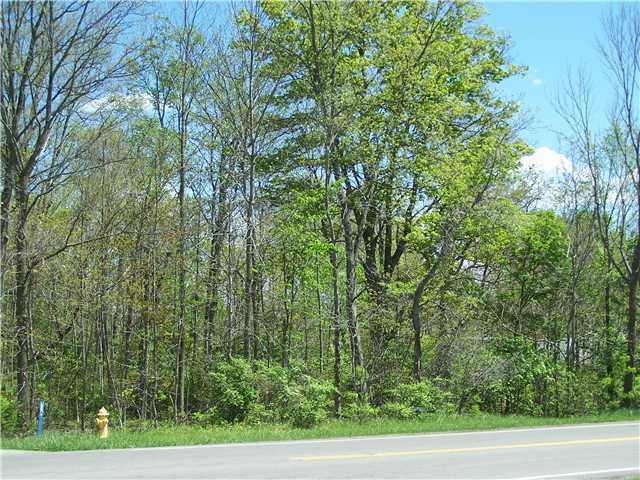 0 Dublin-Prospect Road Powell, OH 43065 - Photo 1 of 3