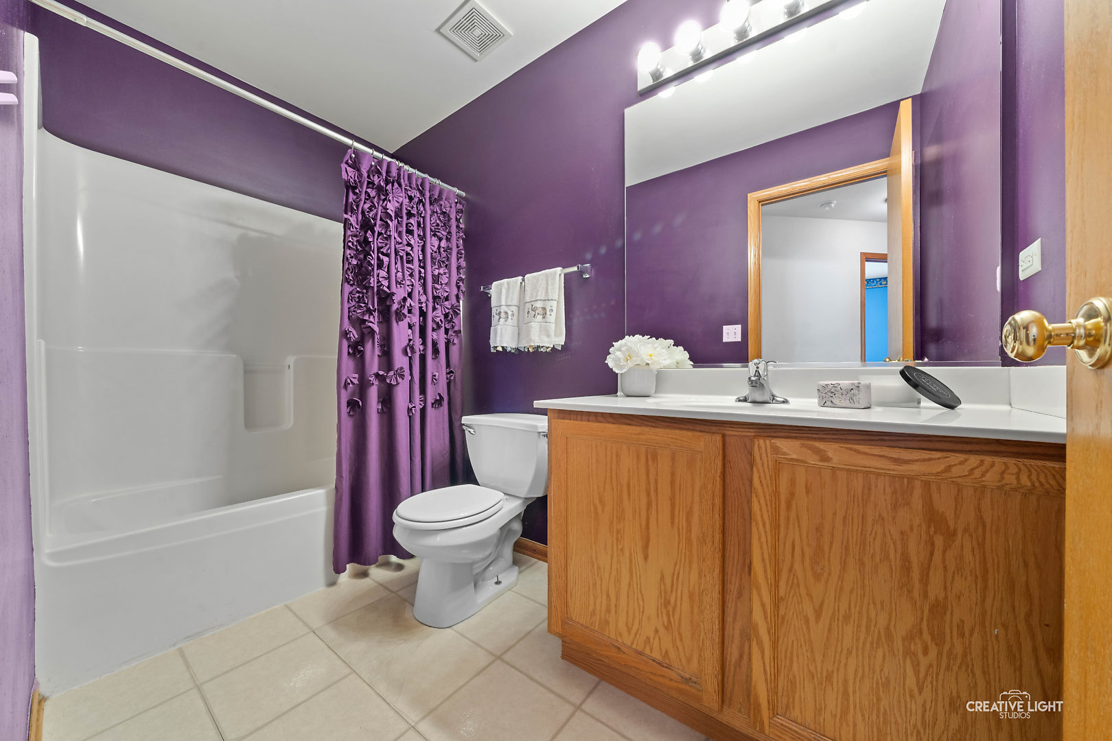 2113 Beldon Court Plainfield, IL 60586 - Photo 13 of 25 a bathroom with a sink toilet and shower