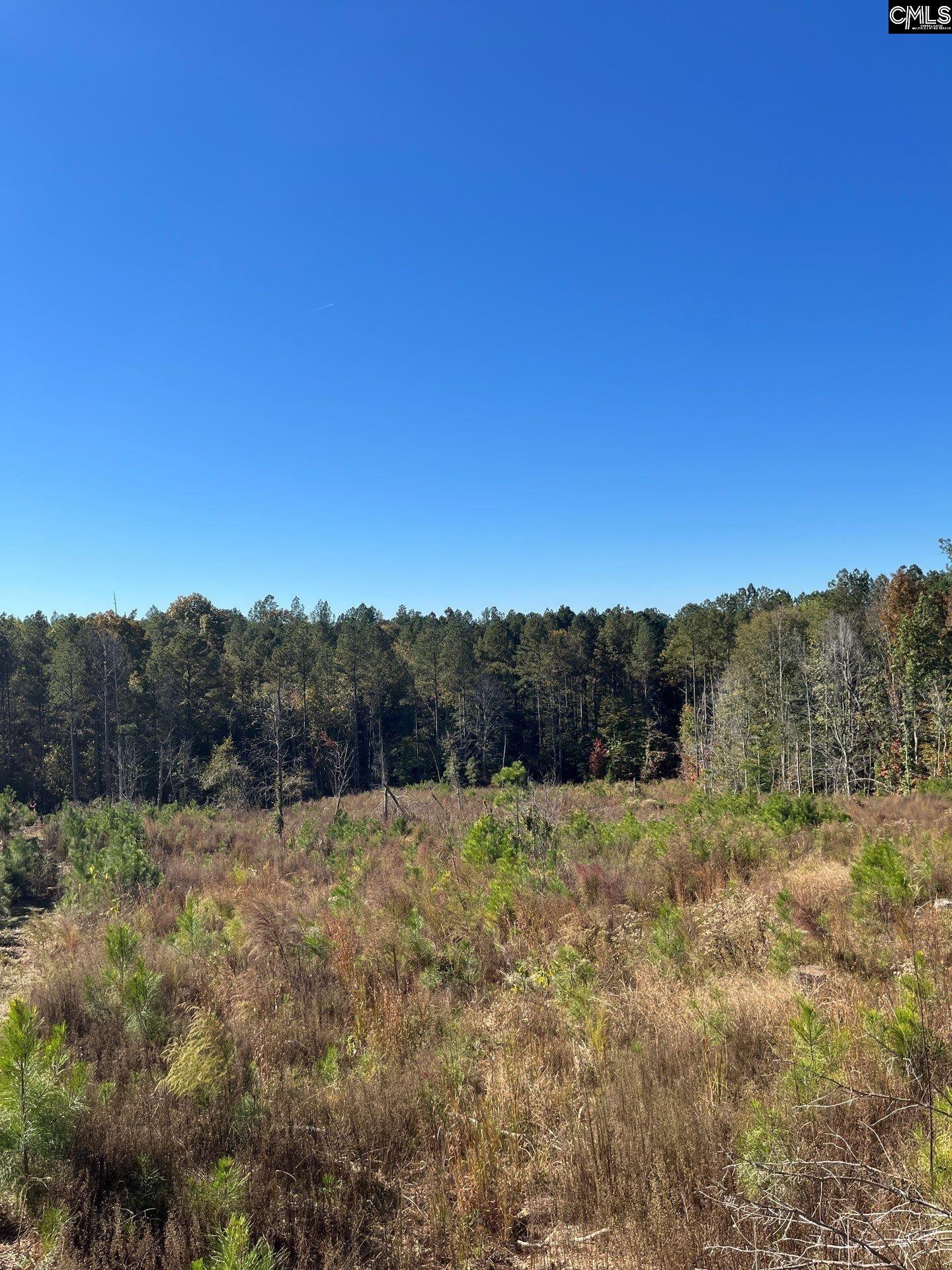 3 Dawkins Road, Unit DRF 3 Whitmire, SC 29178 - Photo 22 of 38