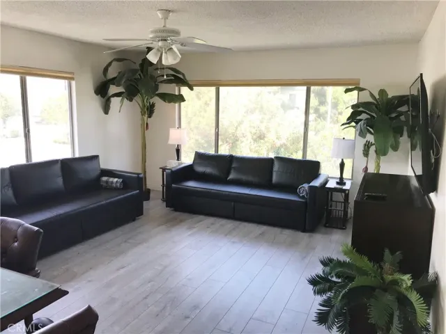 a living room with furniture potted plant and a window