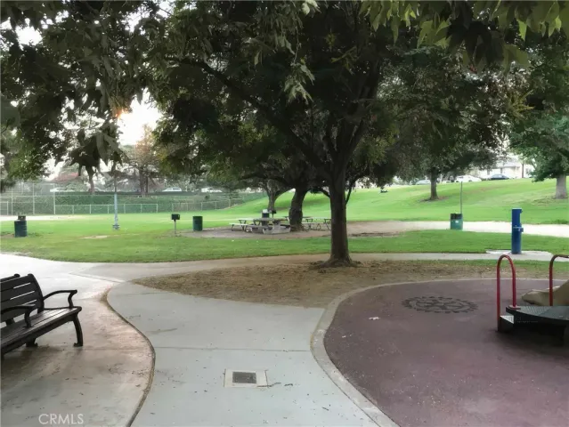 a view of a park with trees