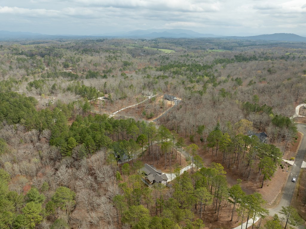 1084 Bridge Road Ellijay, GA 30540 - Photo 54 of 65 Gallery Image 54