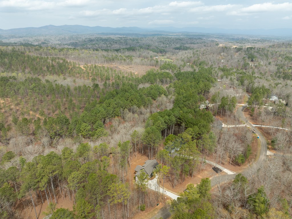 1084 Bridge Road Ellijay, GA 30540 - Photo 56 of 65 Gallery Image 56