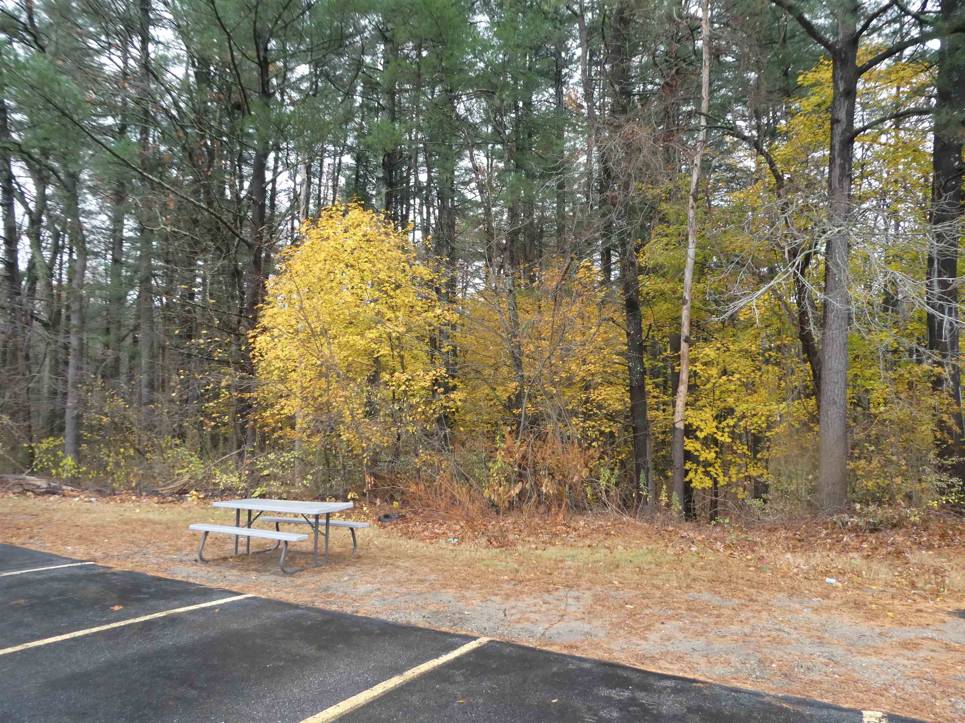 127 English Village Road, Unit 302 Manchester, NH 03102 - Photo 11 of 11