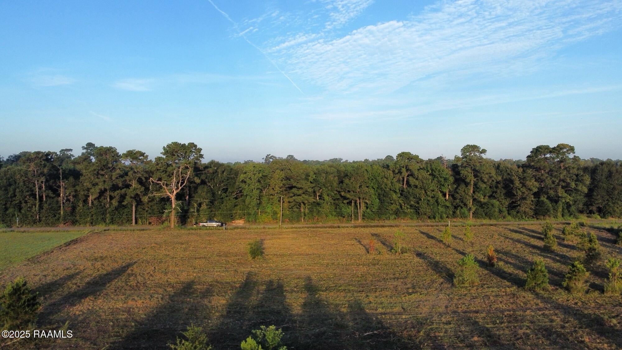 1050 Jolene Road Basile, LA 70515 - Photo 1 of 5 1