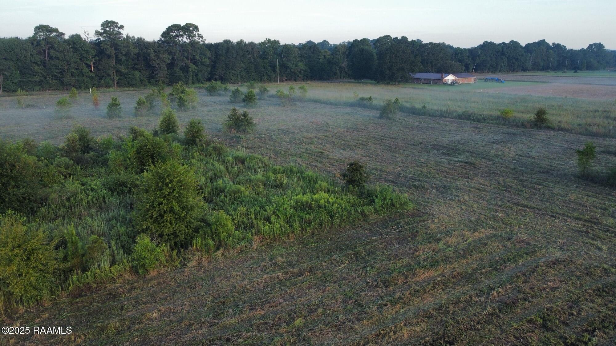 1050 Jolene Road Basile, LA 70515 - Photo 4 of 5 4