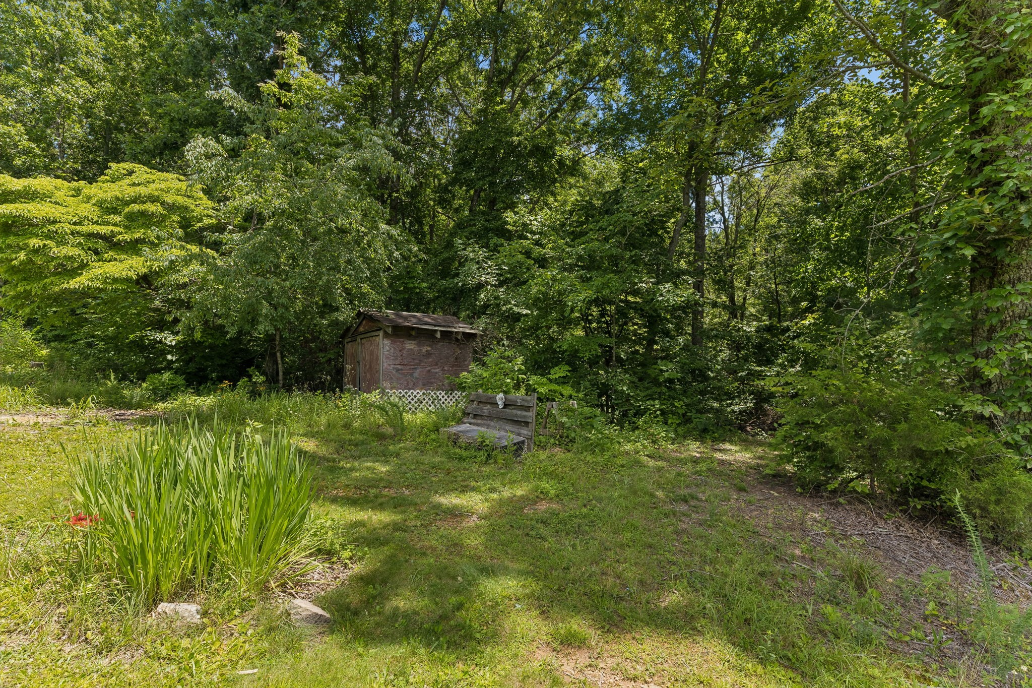 7368 Walker Road Fairview, TN 37062 - Photo 49 of 74