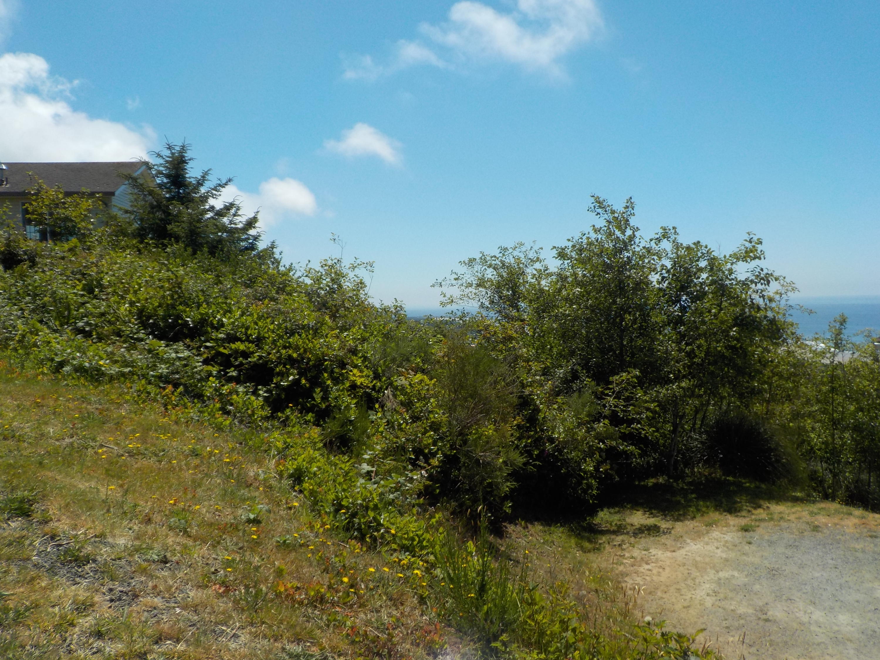 Lot 22 South Longview Loop Rockaway Beach, OR 97136 - Photo 6 of 18 DSCN0368