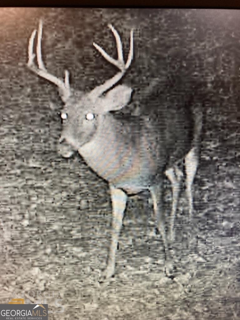 2943 Weems Road Molena, GA 30258 - Photo 11 of 12