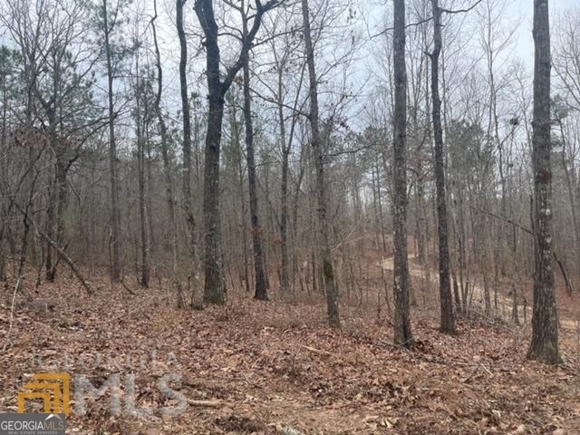 2943 Weems Road Molena, GA 30258 - Photo 12 of 12