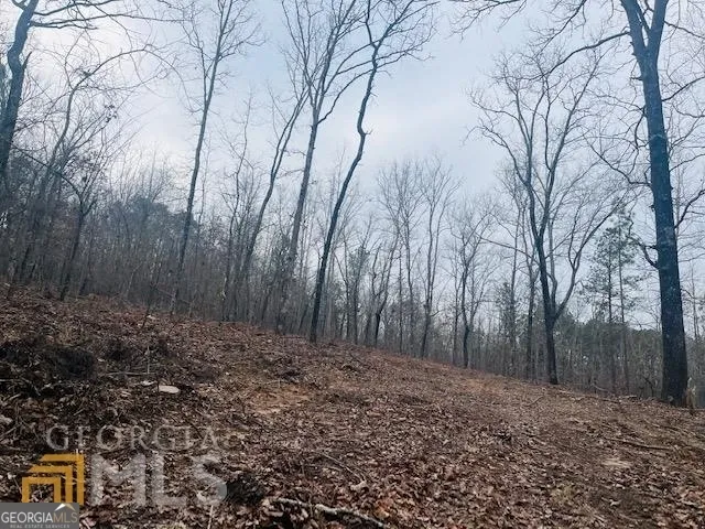 $139,999 | 2943 Weems Road, Molena, GA 30258