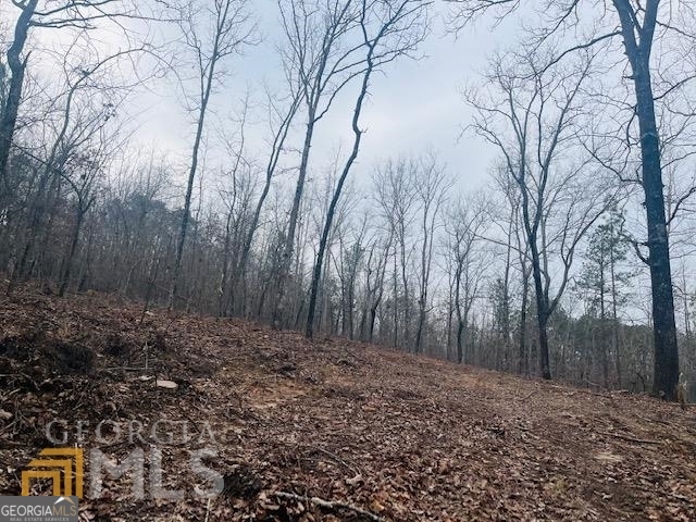 2943 Weems Road Molena, GA 30258 - Photo 2 of 12