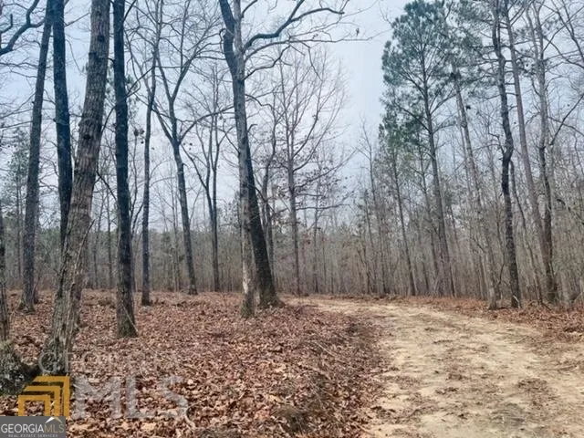 $139,999 | 2943 Weems Road, Molena, GA 30258