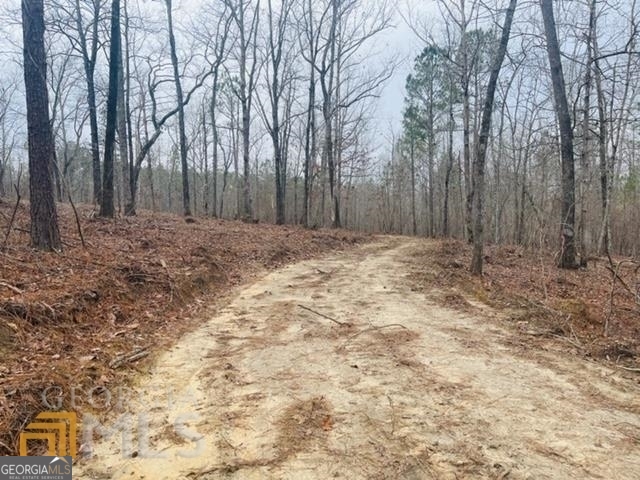 2943 Weems Road Molena, GA 30258 - Photo 6 of 12