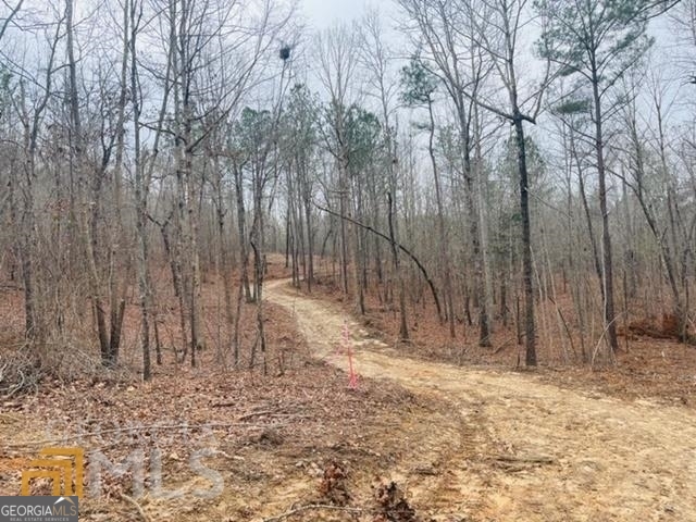 2943 Weems Road Molena, GA 30258 - Photo 9 of 12