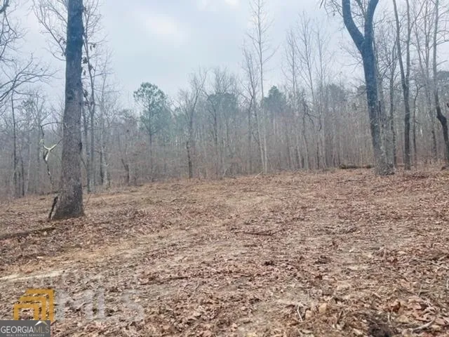 $139,999 | 2943 Weems Road, Molena, GA 30258