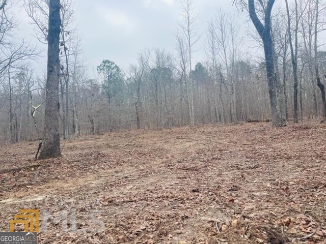 2943 Weems Road Molena, GA 30258 - Photo 10 of 12