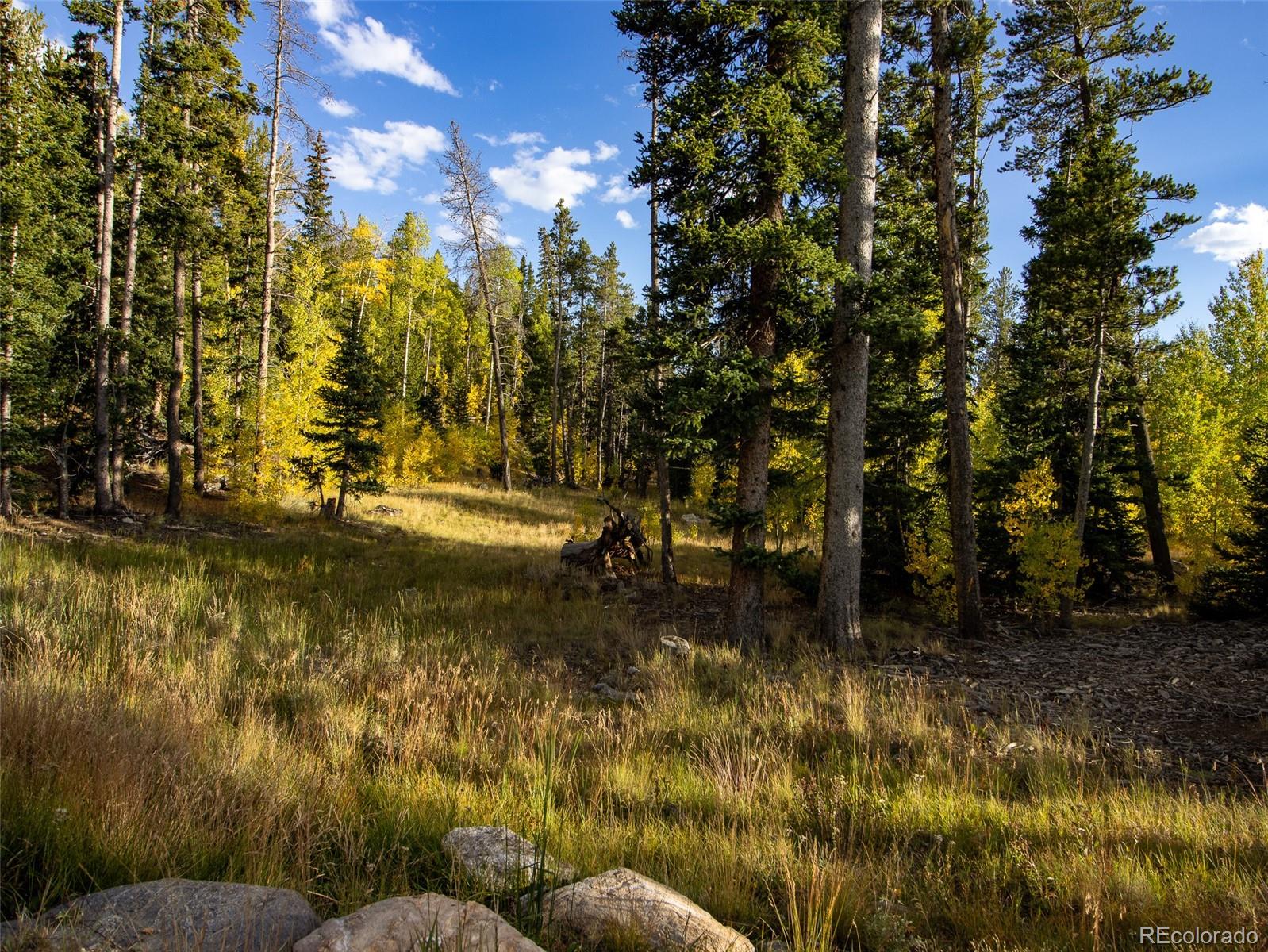 228 Glacier Ridge Road Alma, CO 80420 - Photo 23 of 50 Gallery Image 23