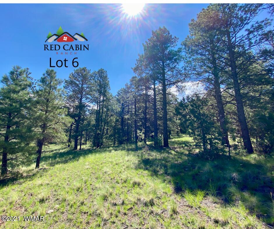 Lot 6 Red Cabin Ranch Vernon, AZ 85940 - Photo 1 of 20 a view of a park with large trees