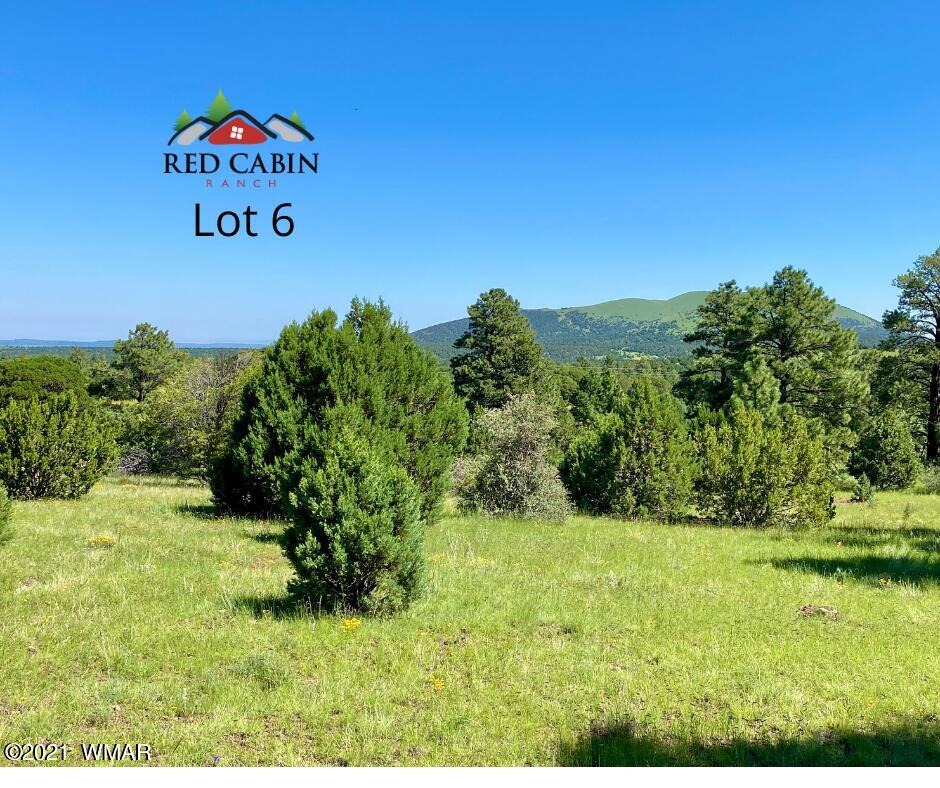 Lot 6 Red Cabin Ranch Vernon, AZ 85940 - Photo 7 of 20 a view of a bunch of trees and bushes