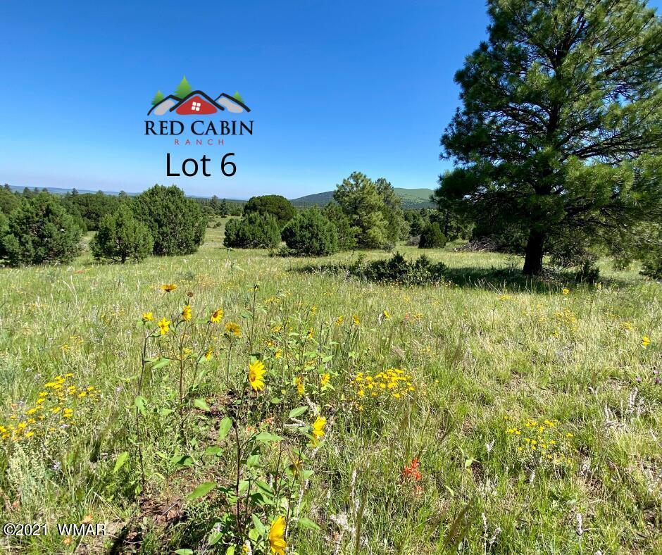 Lot 6 Red Cabin Ranch Vernon, AZ 85940 - Photo 10 of 20 a view of a bunch of trees and bushes