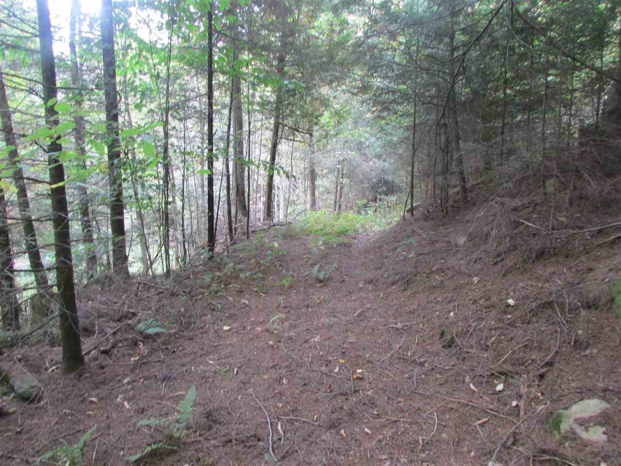 0 South Albany Road Craftsbury Common, VT 05827 - Photo 15 of 19 Gallery Image 15