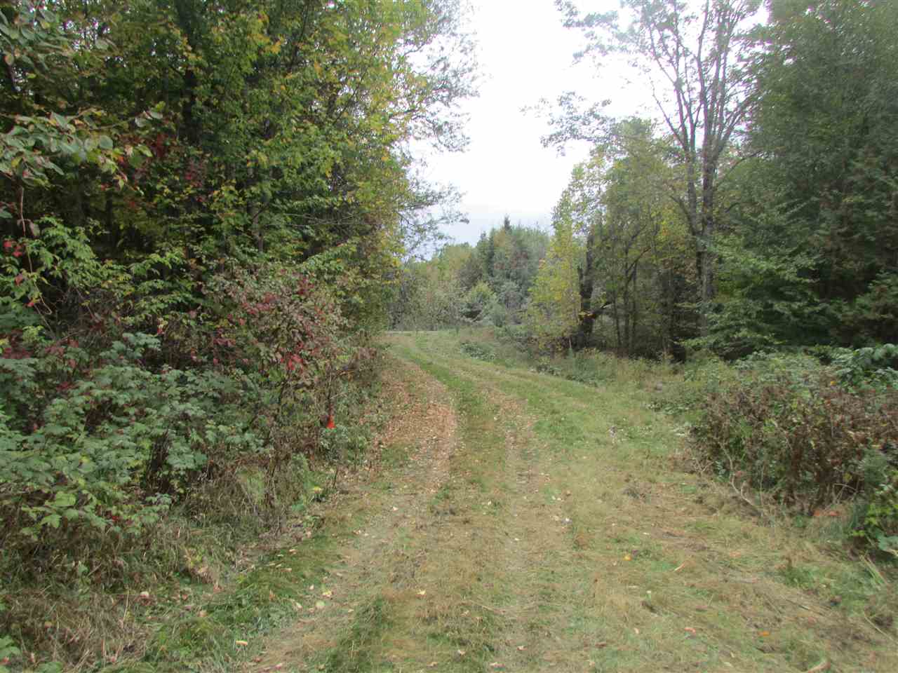 0 South Albany Road Craftsbury Common, VT 05827 - Photo 19 of 19 Gallery Image 19