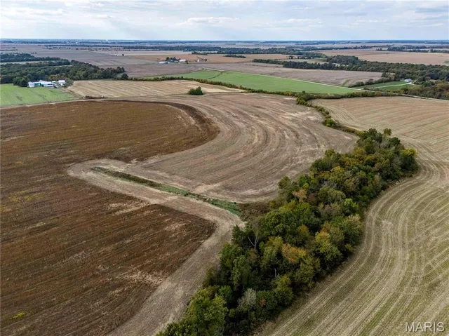 $1 | 38411 Hwy K, Laddonia, MO 63352