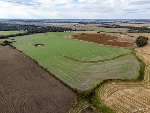 $1 | 38411 Hwy K, Laddonia, MO 63352