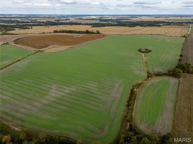 $1 | 38411 Hwy K, Laddonia, MO 63352