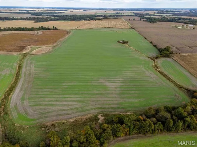 $1 | 38411 Hwy K, Laddonia, MO 63352