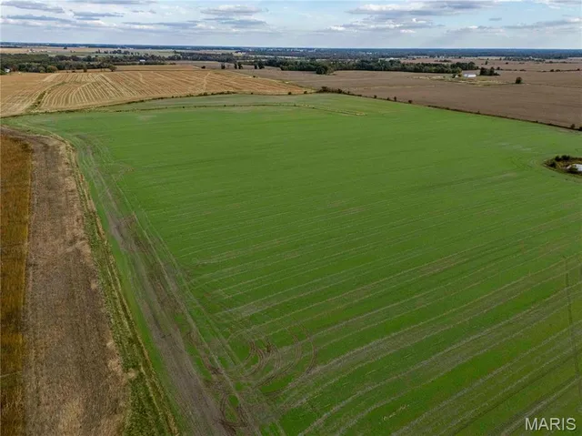 $1 | 38411 Hwy K, Laddonia, MO 63352