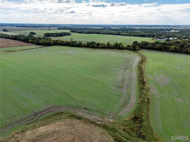 $1 | 38411 Hwy K, Laddonia, MO 63352