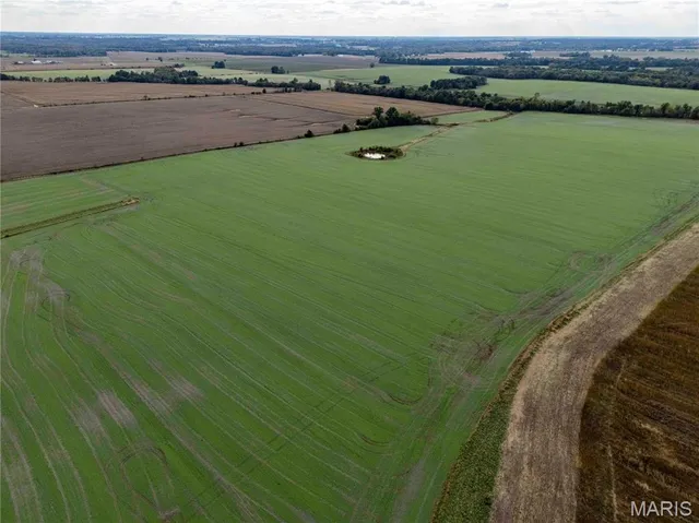 $1 | 38411 Hwy K, Laddonia, MO 63352