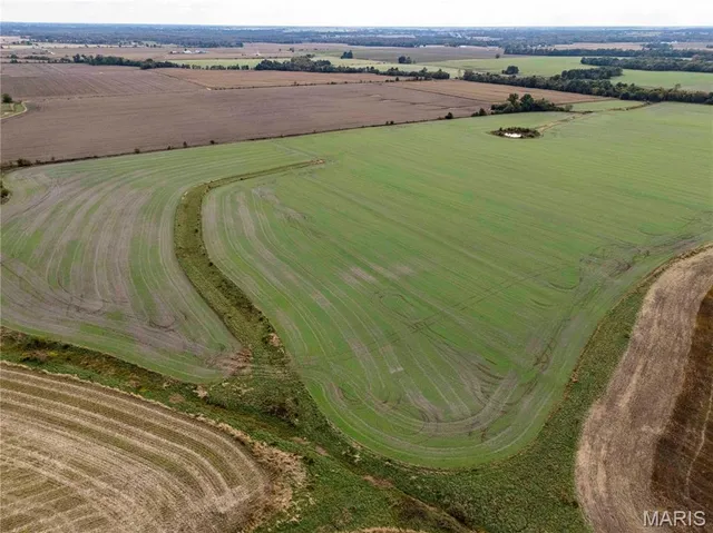 $1 | 38411 Hwy K, Laddonia, MO 63352