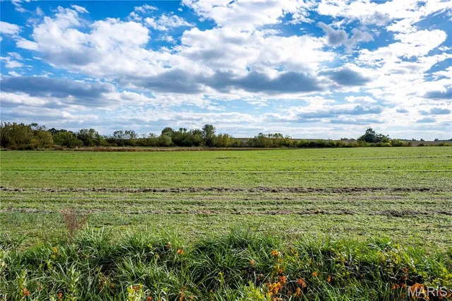 $1 | 38411 Hwy K, Laddonia, MO 63352