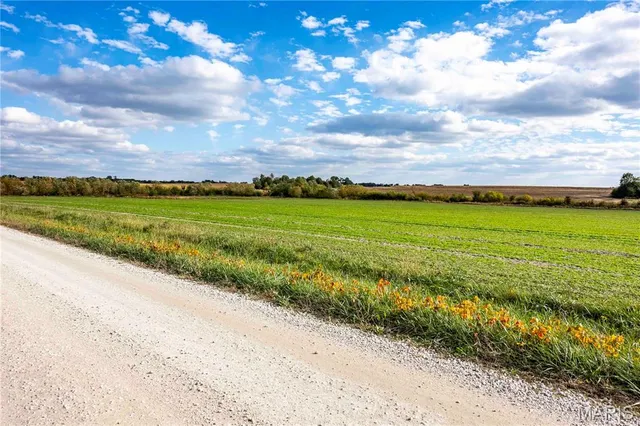 $1 | 38411 Hwy K, Laddonia, MO 63352