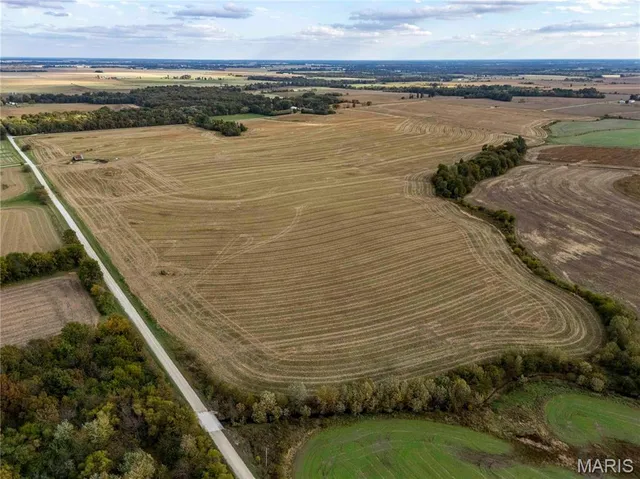 $1 | 38411 Hwy K, Laddonia, MO 63352