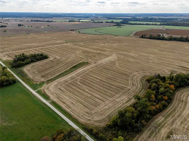 $1 | 38411 Hwy K, Laddonia, MO 63352