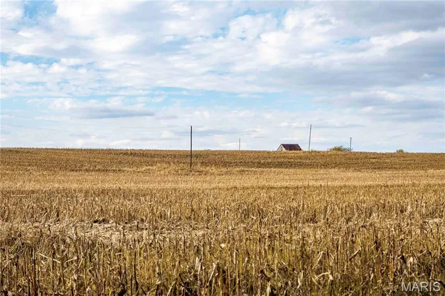 $1 | 38411 Hwy K, Laddonia, MO 63352