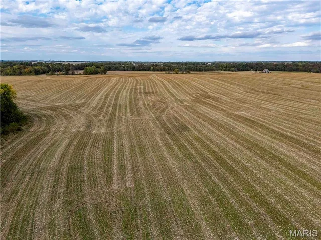 $1 | 38411 Hwy K, Laddonia, MO 63352