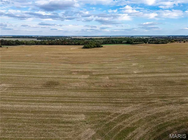 $1 | 38411 Hwy K, Laddonia, MO 63352