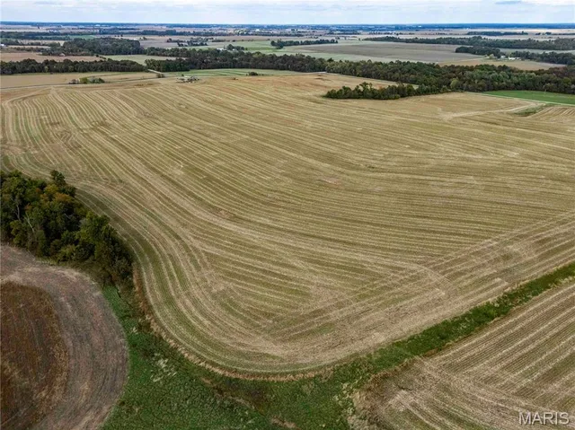 $1 | 38411 Hwy K, Laddonia, MO 63352