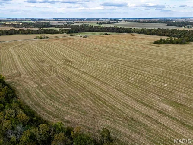 $1 | 38411 Hwy K, Laddonia, MO 63352